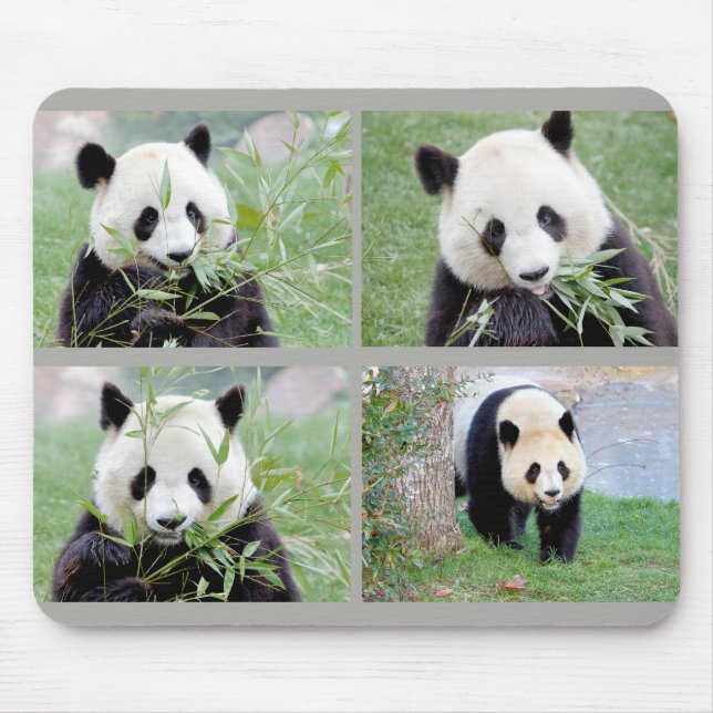 Mouse Pad Foto Riesenpanda , Tiere 0264. Mousepad (Vorne)
