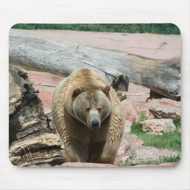 Mouse Pad Grizzly Bären von South Dakota Mousepad (Vorne)