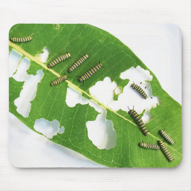 Mouse Pad Hungerfestungen Raupen Mousepad (Vorne)