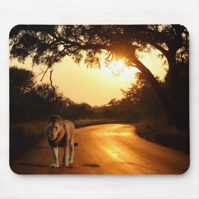 Mouse Pad Lion auf dem Weg in Afrika Mousepad (Vorne)