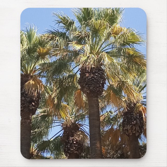 Mouse Pad Palm Trees Mousepad (Vorne)