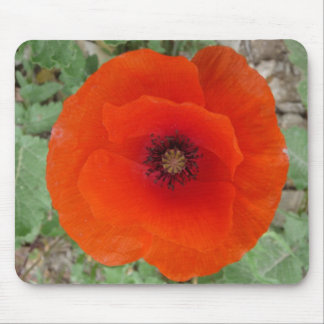 Mouse Pad. Poppy ,(Mohn) Mousepad