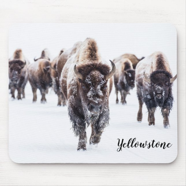 Mouse Pad-Yellowstone Buffalo Mousepad (Vorne)