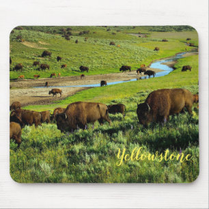 Mouse Pad-Yellowstone Buffalo Mousepad