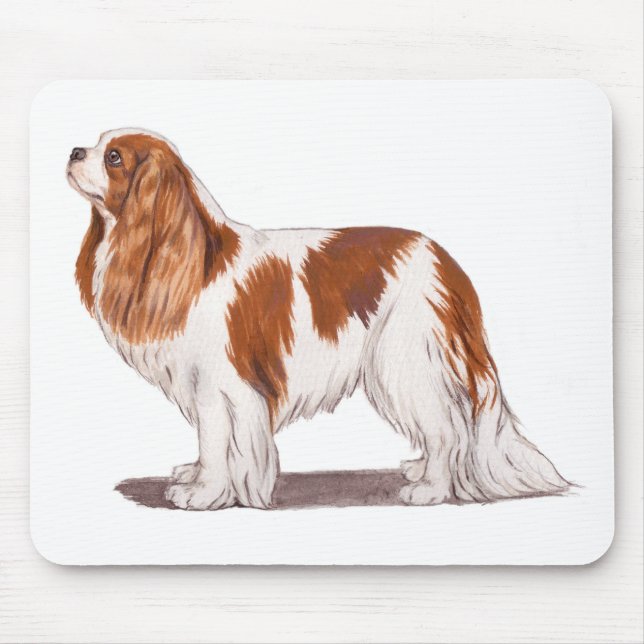 Mousemat: unbekümmerter König Charles Spaniel Mousepad (Vorne)