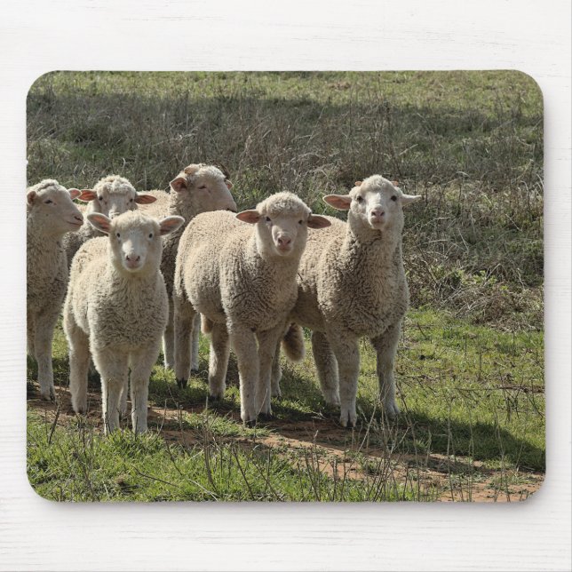 Mousepad (Vorne)