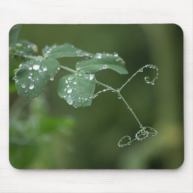 Mousepad (Vorne)