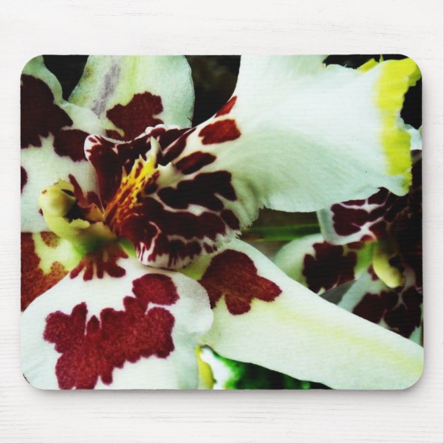 Mousepad 9 (Vorne)