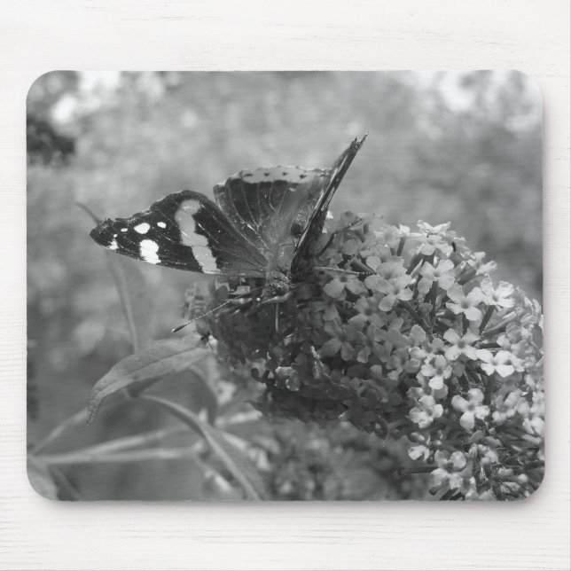 Mousepad - Admiral Butterfly in Schwarz & Weiß (Vorne)