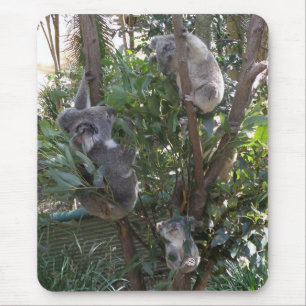 Mousepad Adoptierte A Koala Australien