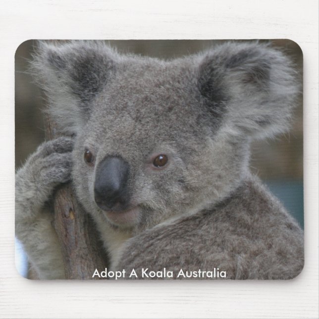Mousepad Adoptierte A Koala Australien (Vorne)