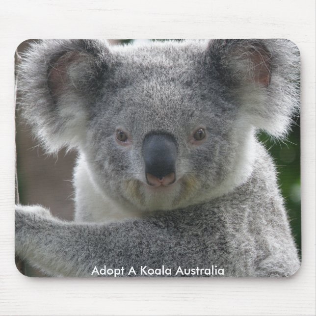 Mousepad Adoptierte A Koala Australien (Vorne)