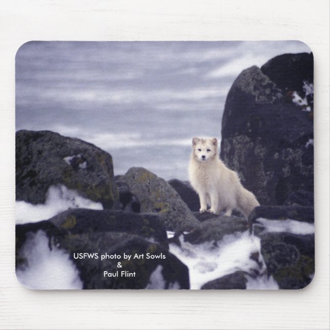 Mousepad/arktischer Fox Mousepad (Vorne)