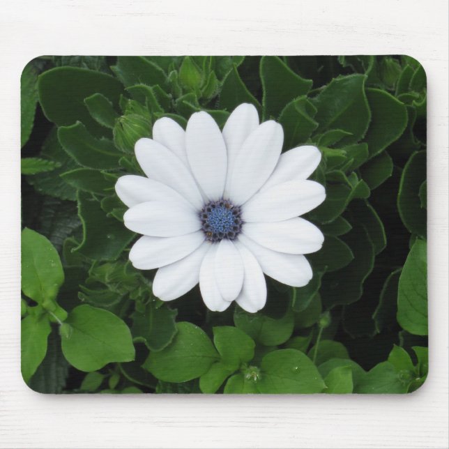 Mousepad aus weißer Blume (Vorne)