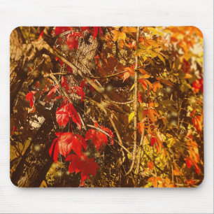 Mousepad Autumn Red Yellow Valley