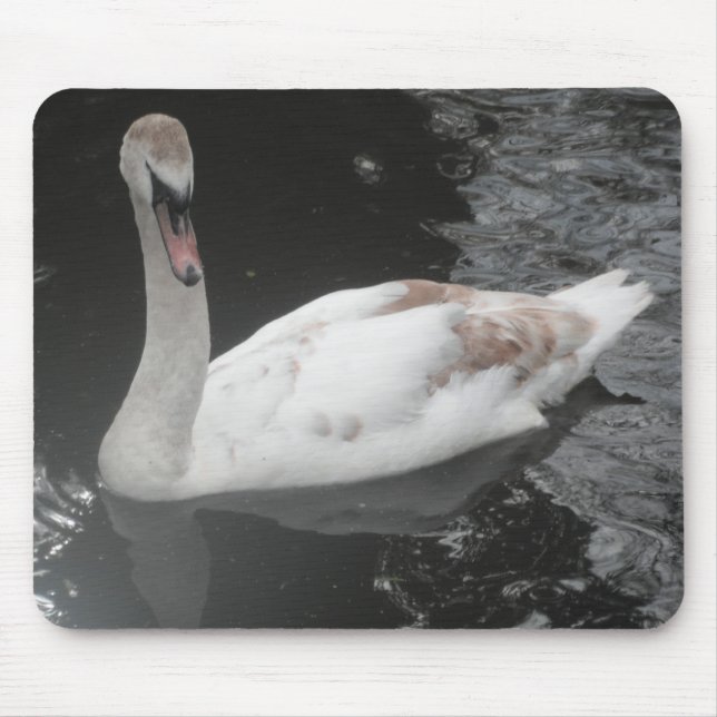 Mousepad Baby Swan Schwimmen (Vorne)