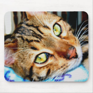 Mousepad bengalische Katze