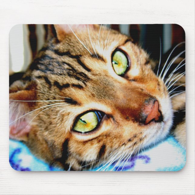 Mousepad bengalische Katze (Vorne)