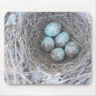 Mousepad Bird's Nest mit Eierfotografie