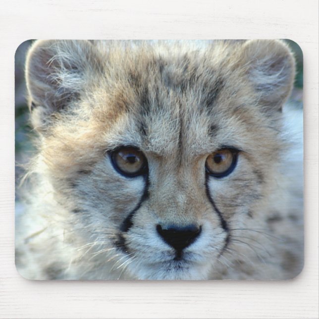 Mousepad-cheetah-cub10x10 Mousepad (Vorne)