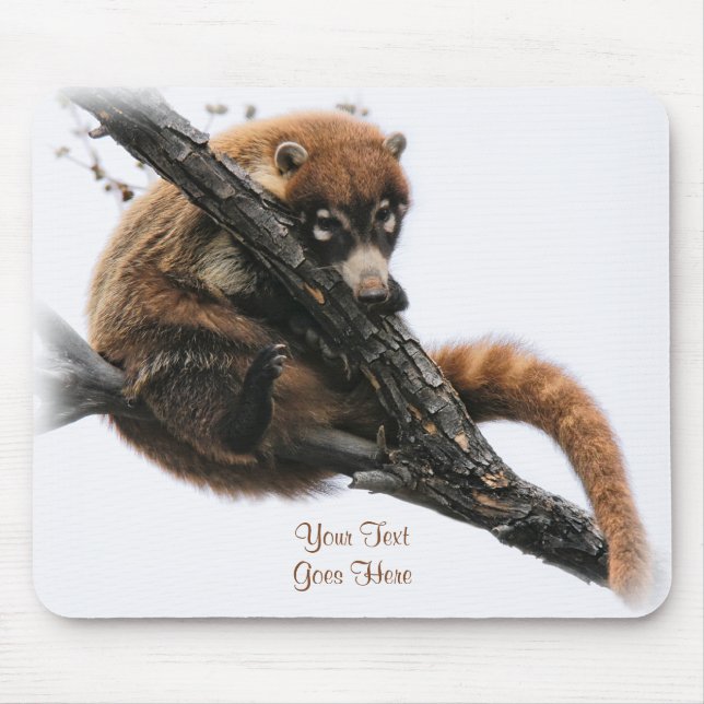 Mousepad: Coatimundi #5 Mousepad (Vorne)