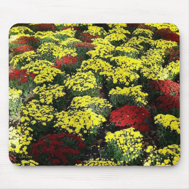 "Mousepad der Blume im Herbst Mousepad (Vorne)