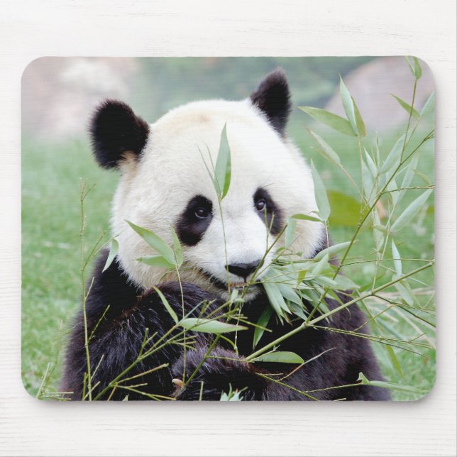 Mousepad. Foto Riesenpanda. Panda Geant. Mousepad (Vorne)