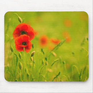 Mousepad, Frühling und Klatschmohnblumen Mousepad