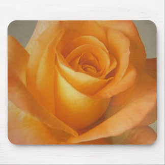 Mousepad gelb-orangee Rosen-Blume auf