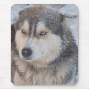Mousepad Husky Blue Eyes