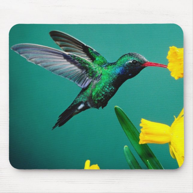 Mousepad-Kolibri Mousepad (Vorne)
