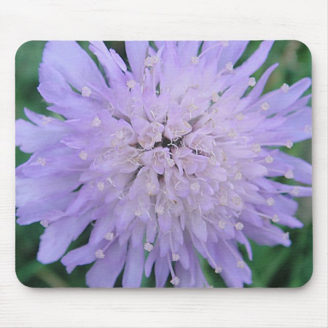 Mousepad lila Scabiosa (Vorne)