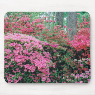 Mousepad mit einem Spray aus rosa Azaleen