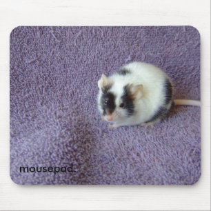 mousepad. mousepad