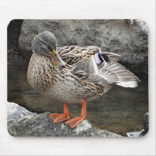 Mousepad niedliche braune Ente zwischen grauen Fel