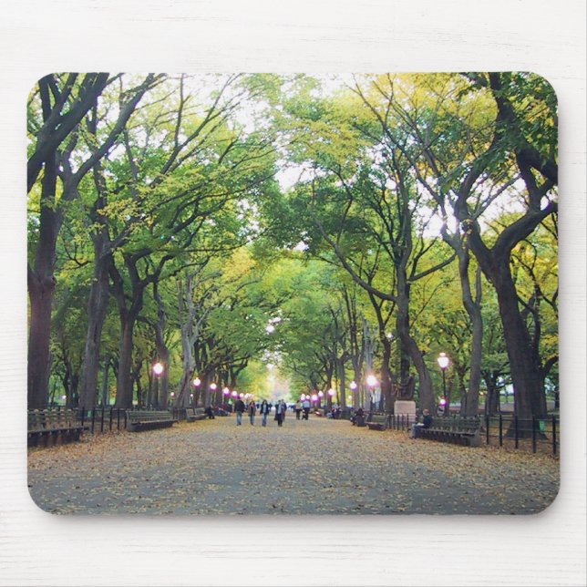 Mousepad - NY Central Park (Vorne)