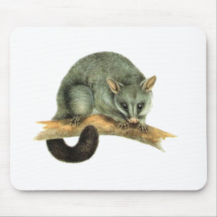Mousepad - Opossum