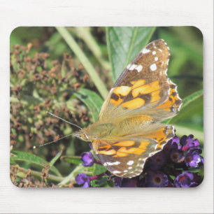 Mousepad - Orange Butterfly auf Lila Blume