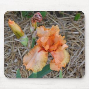 Mousepad - orange Iris