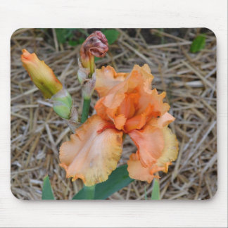 Mousepad - orange Iris