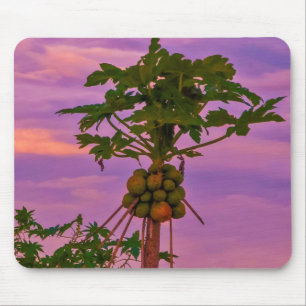 Mousepad Papaya Tree und brasilianischer Sonnenunt