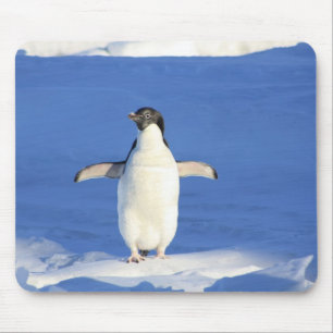 Mousepad - Pinguin