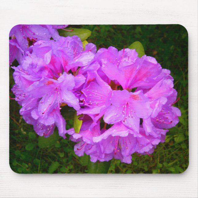 mousepad pinky (Vorne)