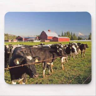 Mousepad Rainier Cattle