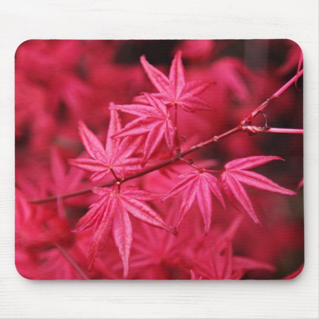 Mousepad-Roter Ahornbaum Mousepad (Vorne)
