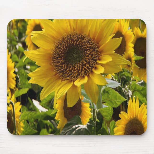 Mousepad Sunflower (Vorne)