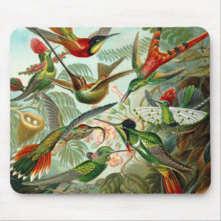 Mousepad Vintag Artist Ernst Haeckel Trochilidae