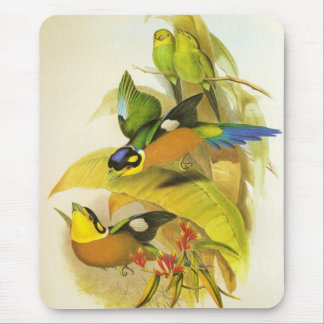 Mousepad Vintag Langschwanzvögel