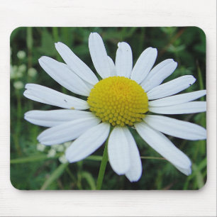 Mousepad weisse Margeritenblüte