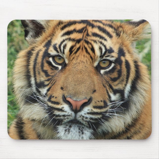Mousepadtiger Mousepad (Vorne)